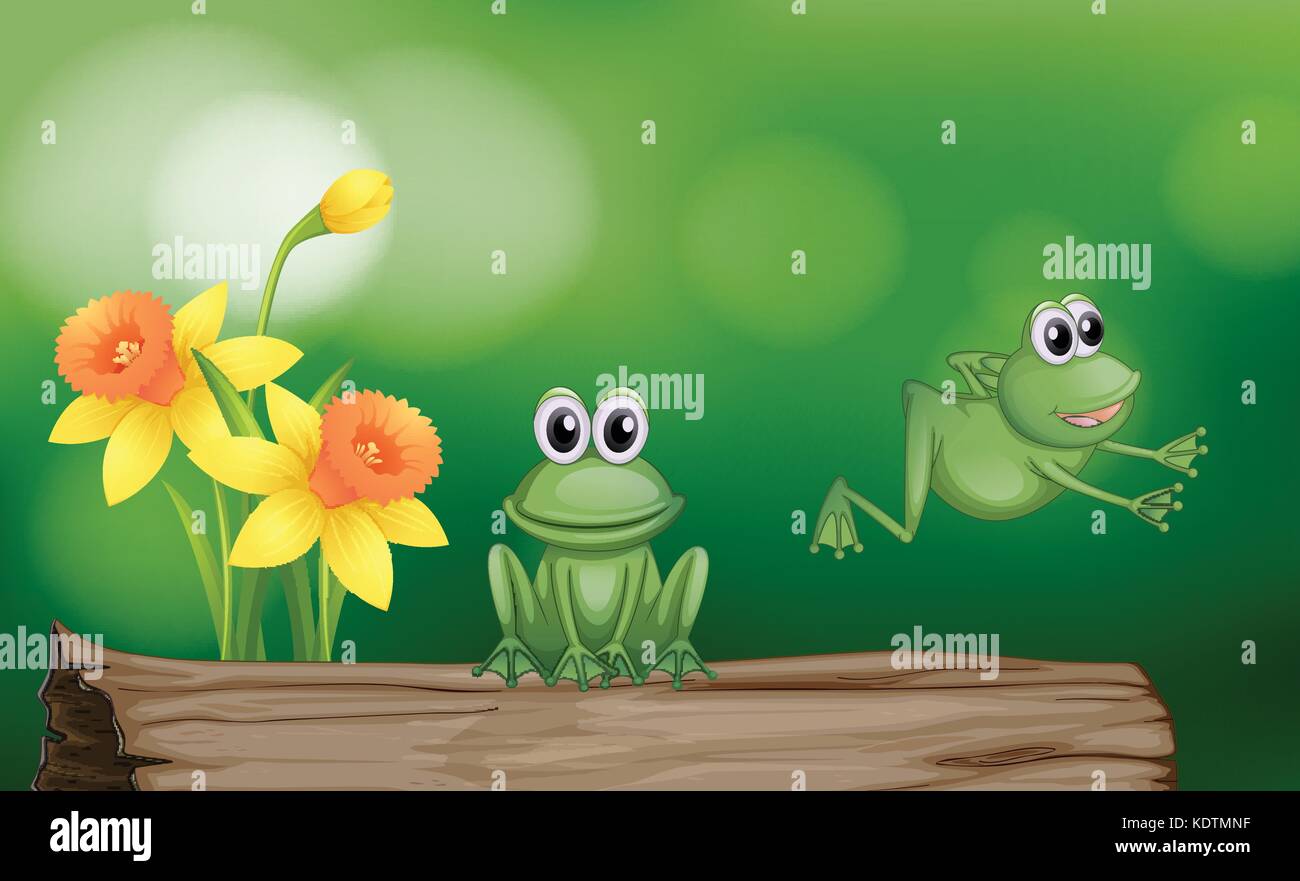 Two green frogs on the log illustration Stock Vector Image & Art - Alamy