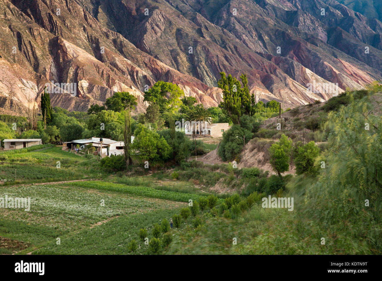 Farmland near Maimará, with the "Painter's Palette" hills beyond, Quebrada de Humahuaca, Jujuy Province, Argentina Stock Photo