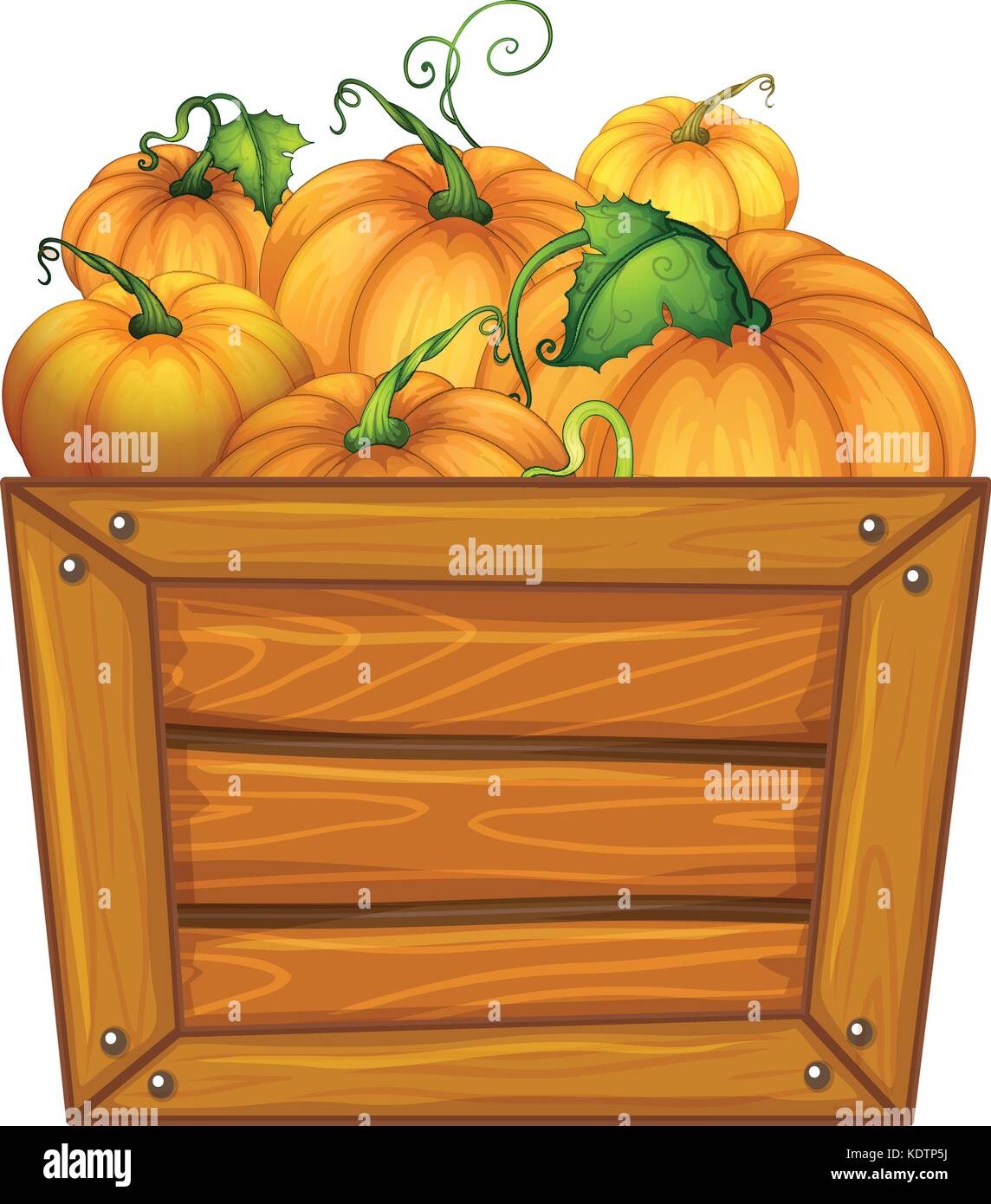 Pumpkins in box box container Stock Vector Images - Alamy