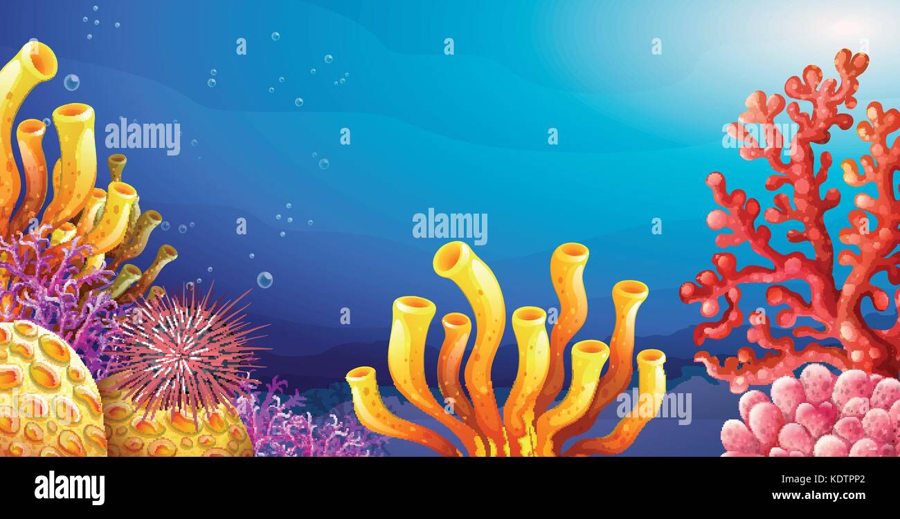 Underwater Coral Drawing