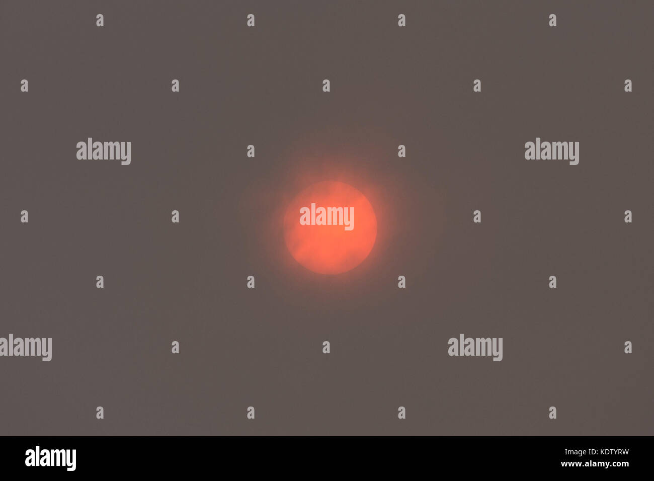 Uttoxeter, Staffordshire, UK. 16th Oct, 2017. UK Weather:  The sun is obscured by cloud caused by ex-Ophelia, creating a bright orange glow seen across the county. Ophelia, an Atlantic hurricane making its way north-east over the UK and Ireland, is a tropical storm hitting Ireland and the west of the UK with high winds and rain. Credit: Richard Holmes/Alamy Live News Stock Photo