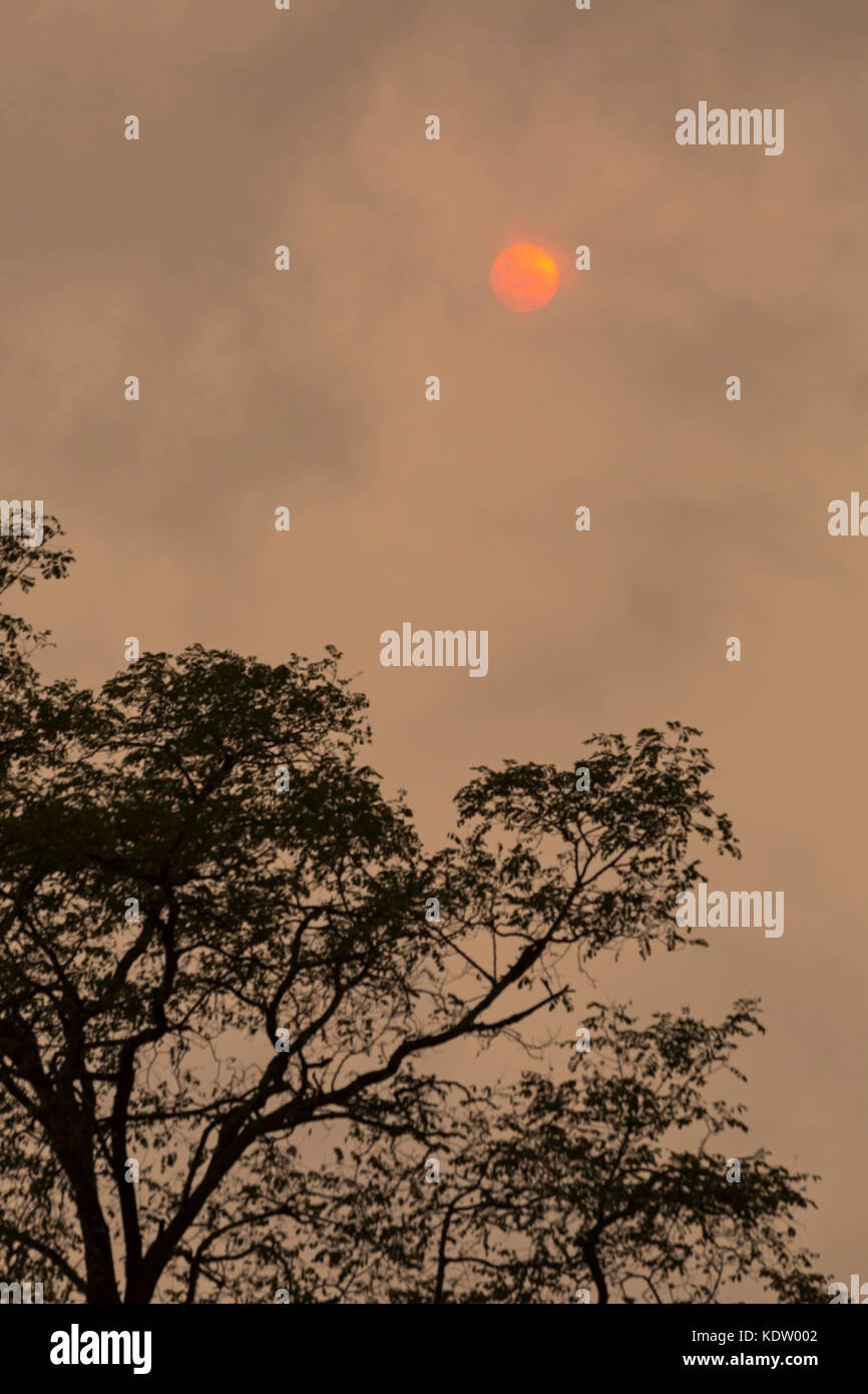 Bournemouth, Dorset, UK. 16th Oct, 2017. UK weather: eerie red sun breaks through the clouds creating moody lighting. The red sun  caused by Saharan dust brought over by hurricane Ophelia. Credit: Carolyn Jenkins/Alamy Live News Stock Photo