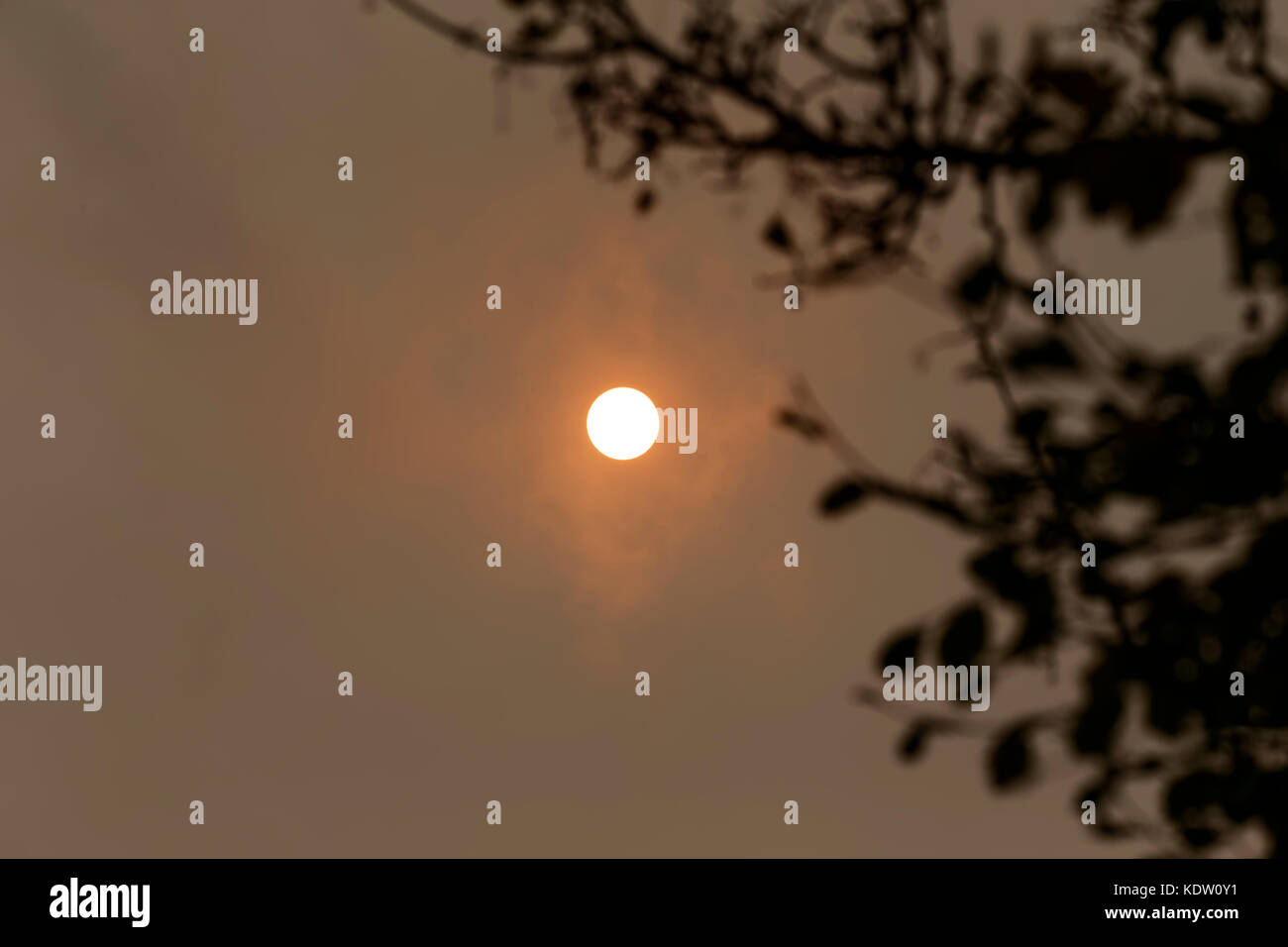 Warminster, Wiltshire, UK. 16th Oct, 2017. Hurricane Ophelia creates an orange sun over Warminster in Wiltshire when the storm is believed to have picked up dust from the Sahara and debris from forest fires in Spain and Portugal. Credit: Andrew Harker/Alamy Live News Stock Photo