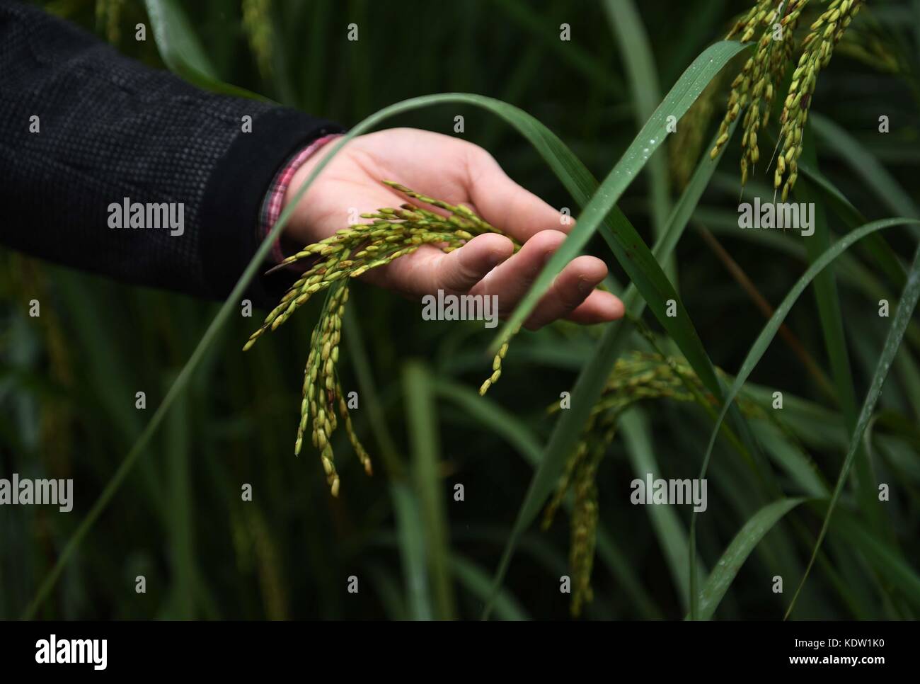 New kind hi-res stock photography and images - Alamy