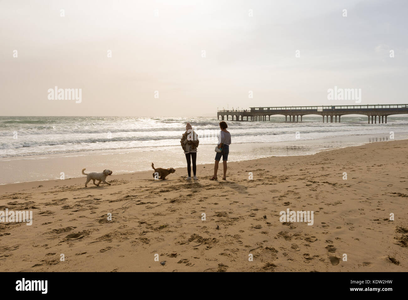 Boscombe, Dorset, UK, 16th October 2017. Storm Ophelia crosses the south coast of England. Strong winds and unusually high autumn temperatures have accompanied the former tropical storm. Two women walk their dogs in the sunshine that followed. Stock Photo