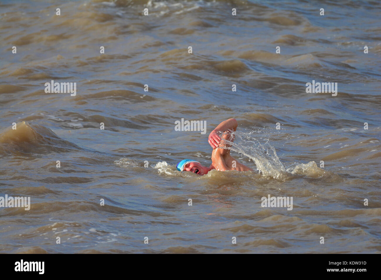 Clevedon North Somerset, UK. 16th Oct, 2017. UK Weather. STORM OPHELIA Clevedon. Swimmer tackles huge waves while photographer, and storm watchers look on . Credit: Robert Timoney/Alamy Live News Stock Photo
