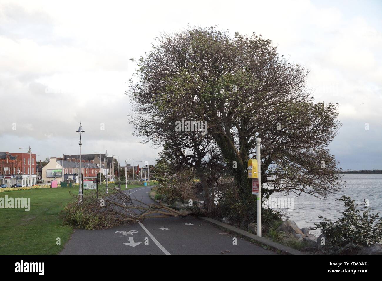 STORM DAMAGE COMPENSATION IRELAND visual data 2