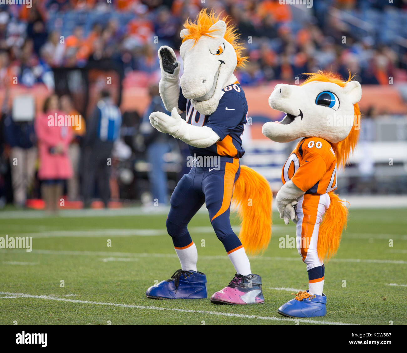 October 15, 2017: Denver Broncos mascot during pre-game warm up of an NFL week 6 matchup between the New York Giants and the Denver Broncos at Sports Authority Field at Mile High Stadium Denver CO, Scott D Stivason/Cal Sport Media Stock Photo