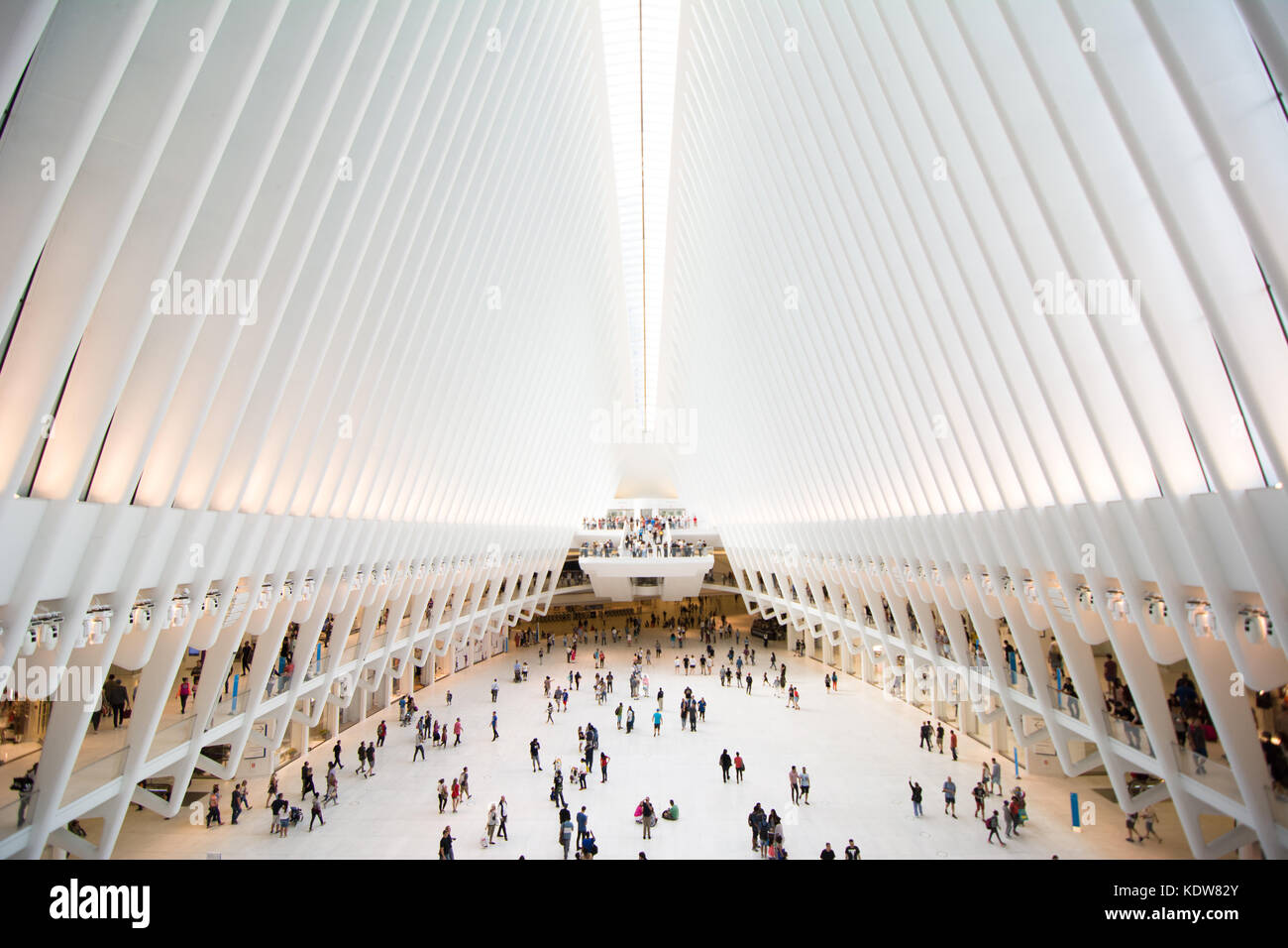 The impressive architecture of the Oculus at the World Trade Center transportation hub in New York city, United States Stock Photo