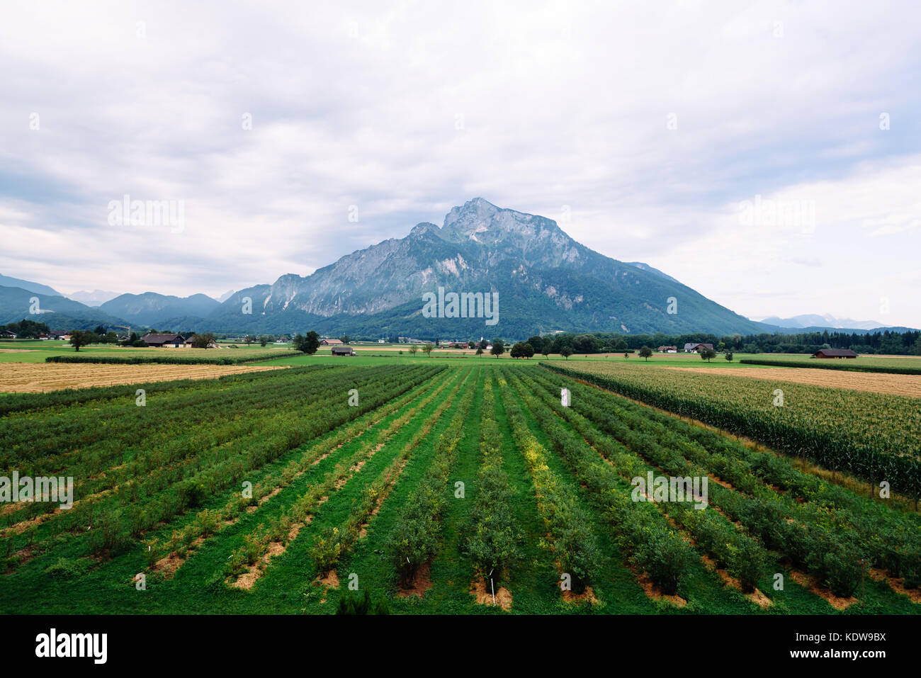 Scenic view of misty mountain in the alps Stock Photo - Alamy