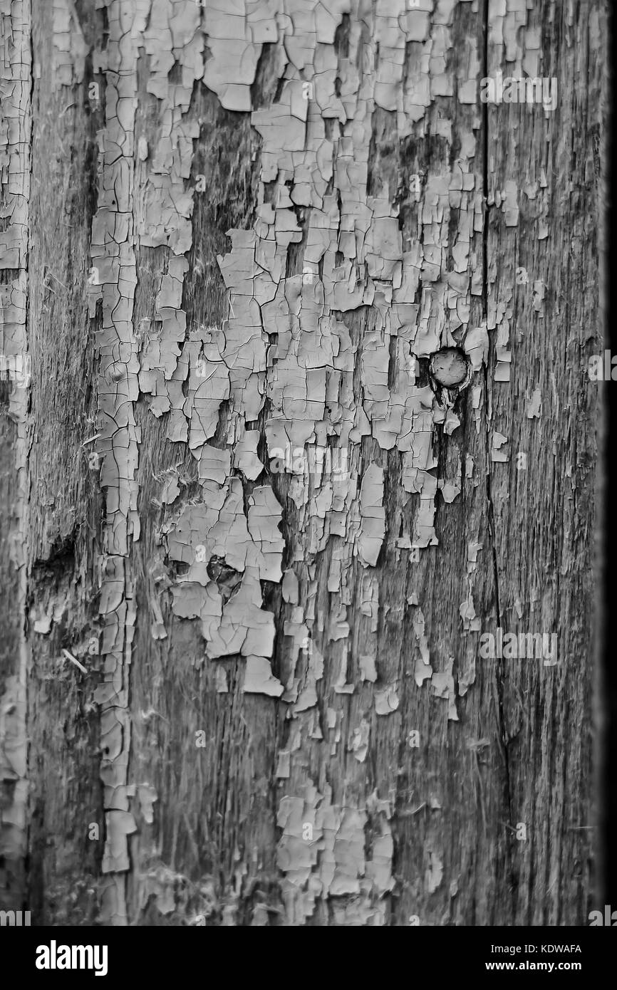 old paint on a dry wooden wall Stock Photo Alamy