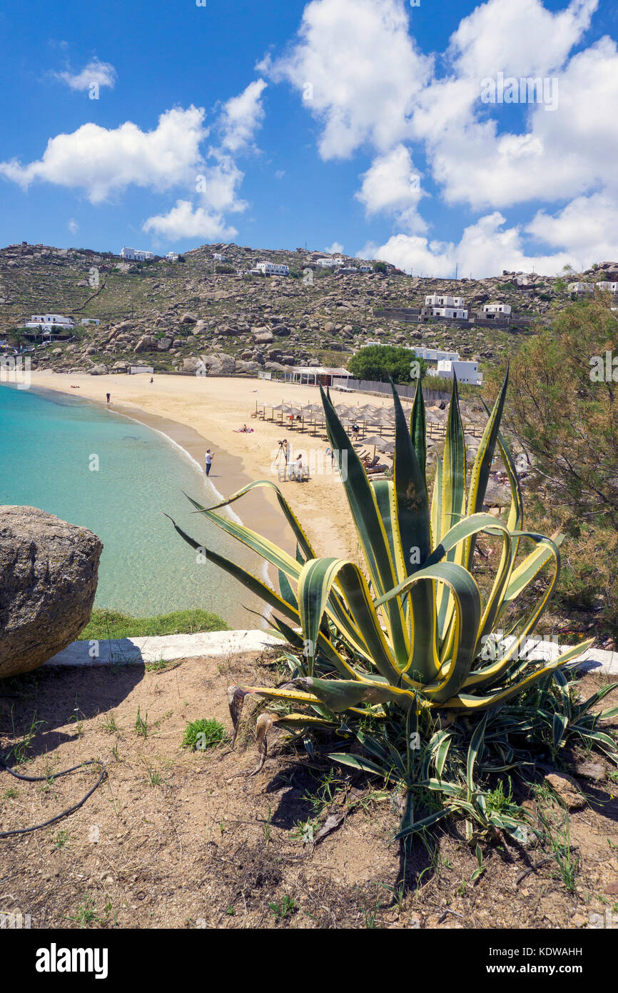 Super Paradise beach, popular beach south of Mykonos, Cyclades, Aegean, Greece, Europe Stock Photo