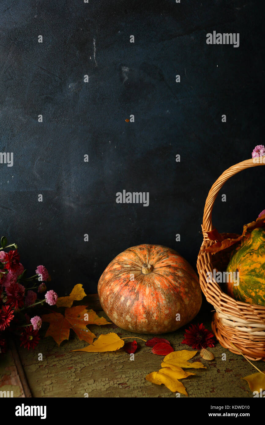 background with pumpkins Stock Photo - Alamy