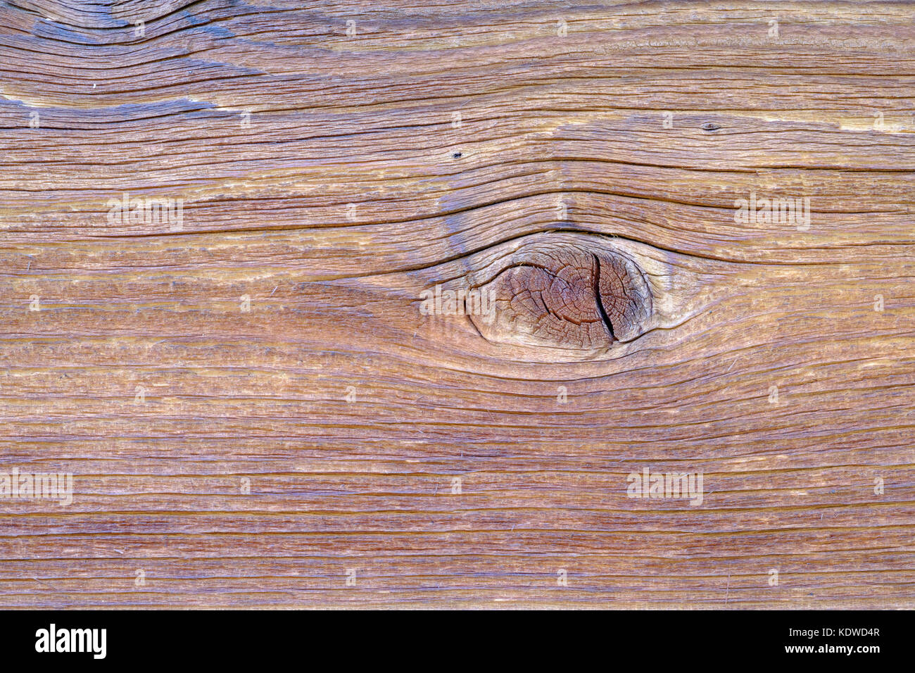 Weathered timber boards showing detail of wood grain and knots Stock Photo