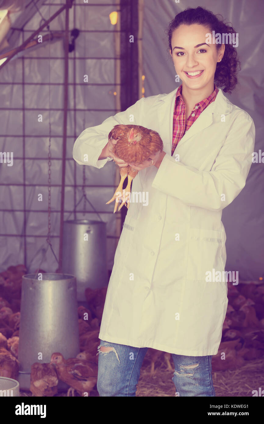 Chicken veterinarian farm woman hi-res stock photography and images - Alamy