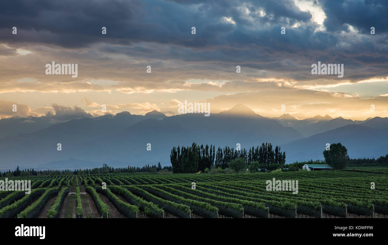 the Andes from the vineyards of the Uco Valley nr Tupungato, Mendoza Province, Argentina Stock Photo
