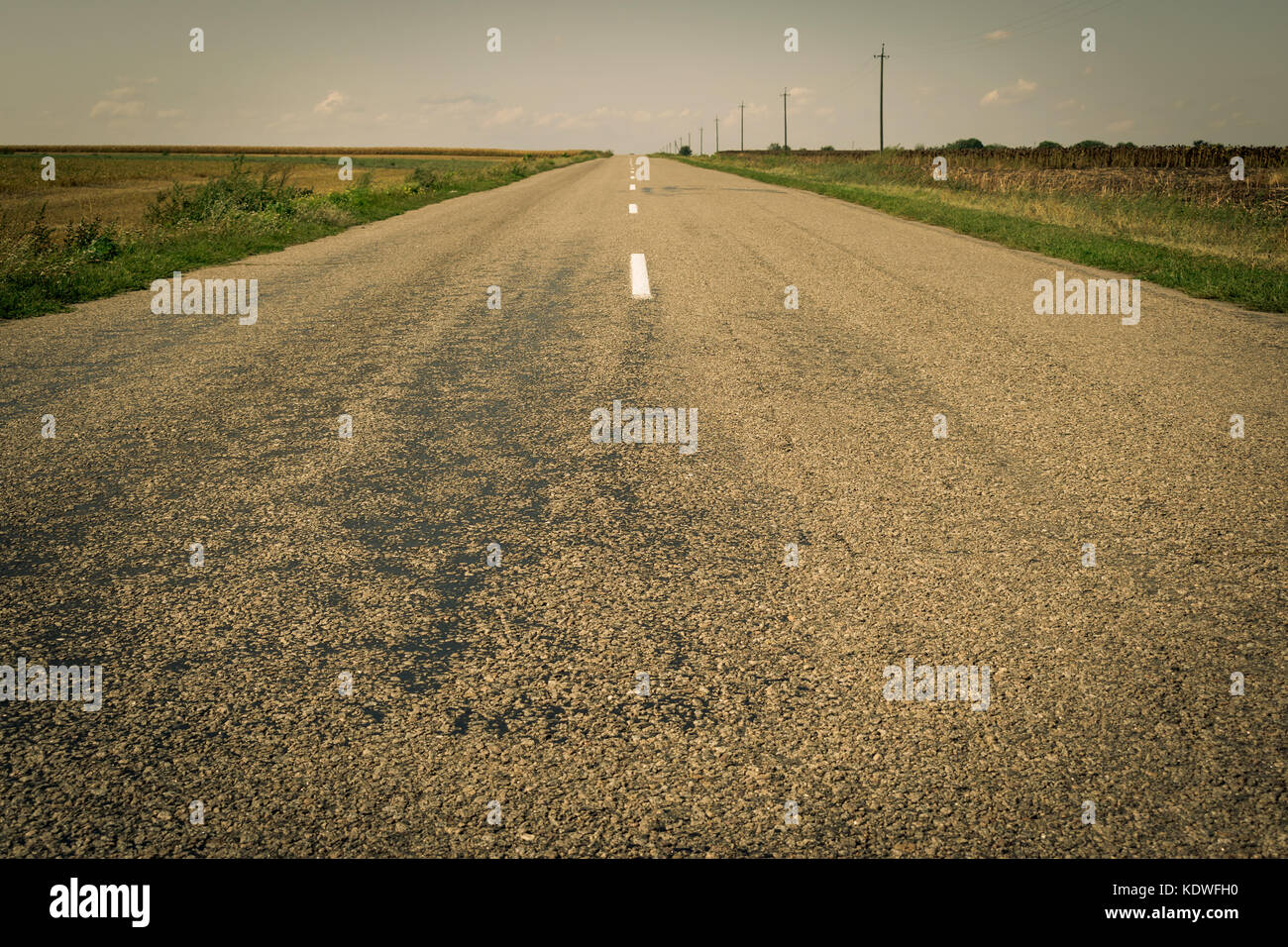 Country road in the fields Stock Photo - Alamy