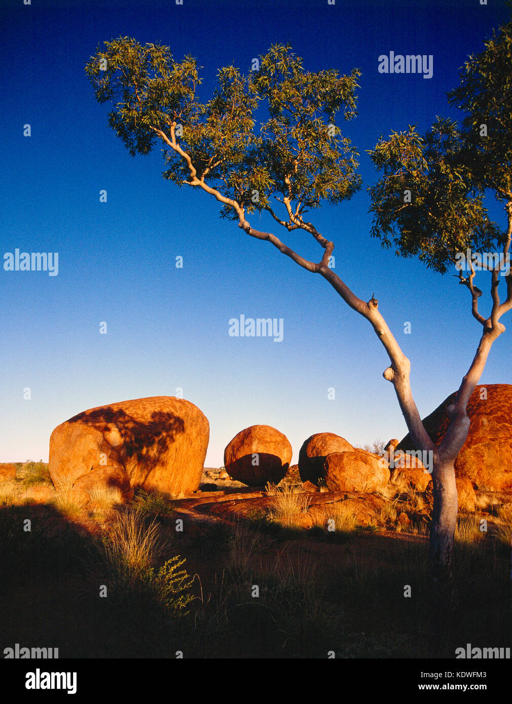 Australia. Northern Territory. Tennant Creek. Devils Marbles rock formations. Stock Photo