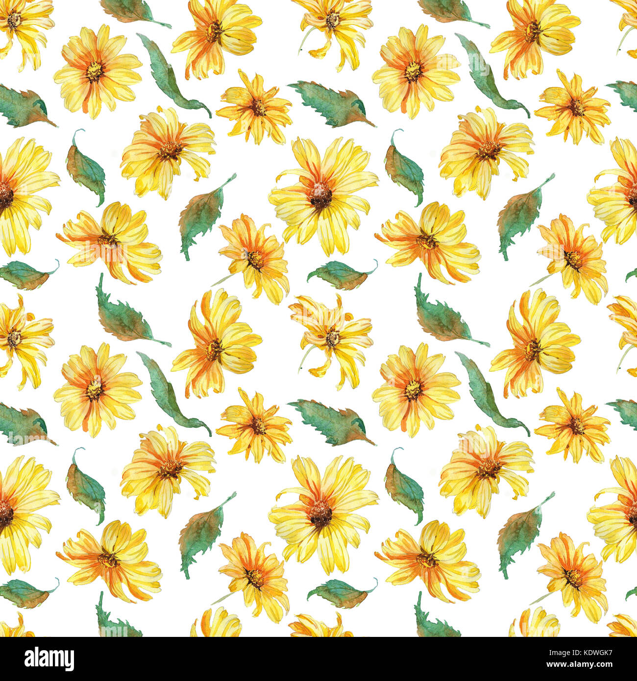 Hand drawn watwrcolor Summer flowers chamomile seamless pattern Stock ...