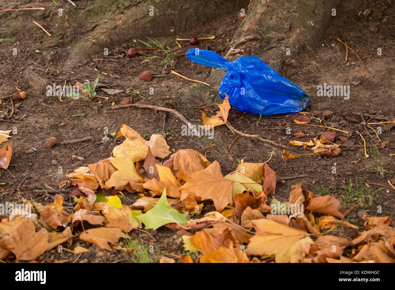Plastic bag dog waste hi-res stock photography and images - Alamy