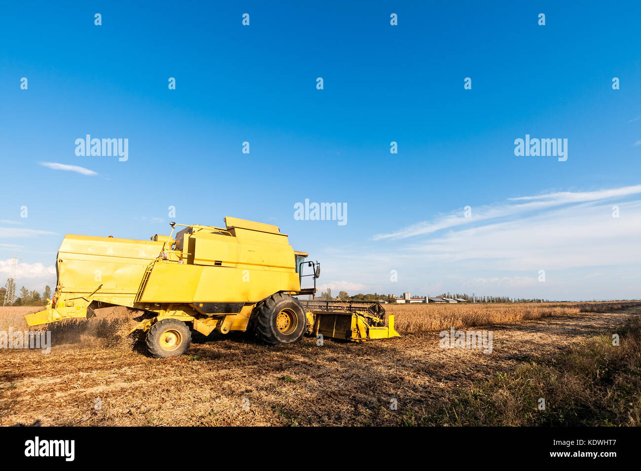 Harvesting of soybean field with combine harvester. Yellow thresher. Stock Photo