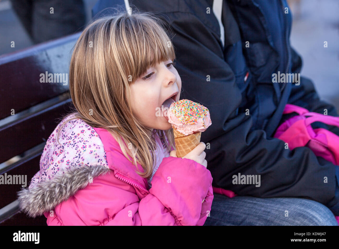 Winter Rainbow Sprinkles Winter Rainbow Sprinkles