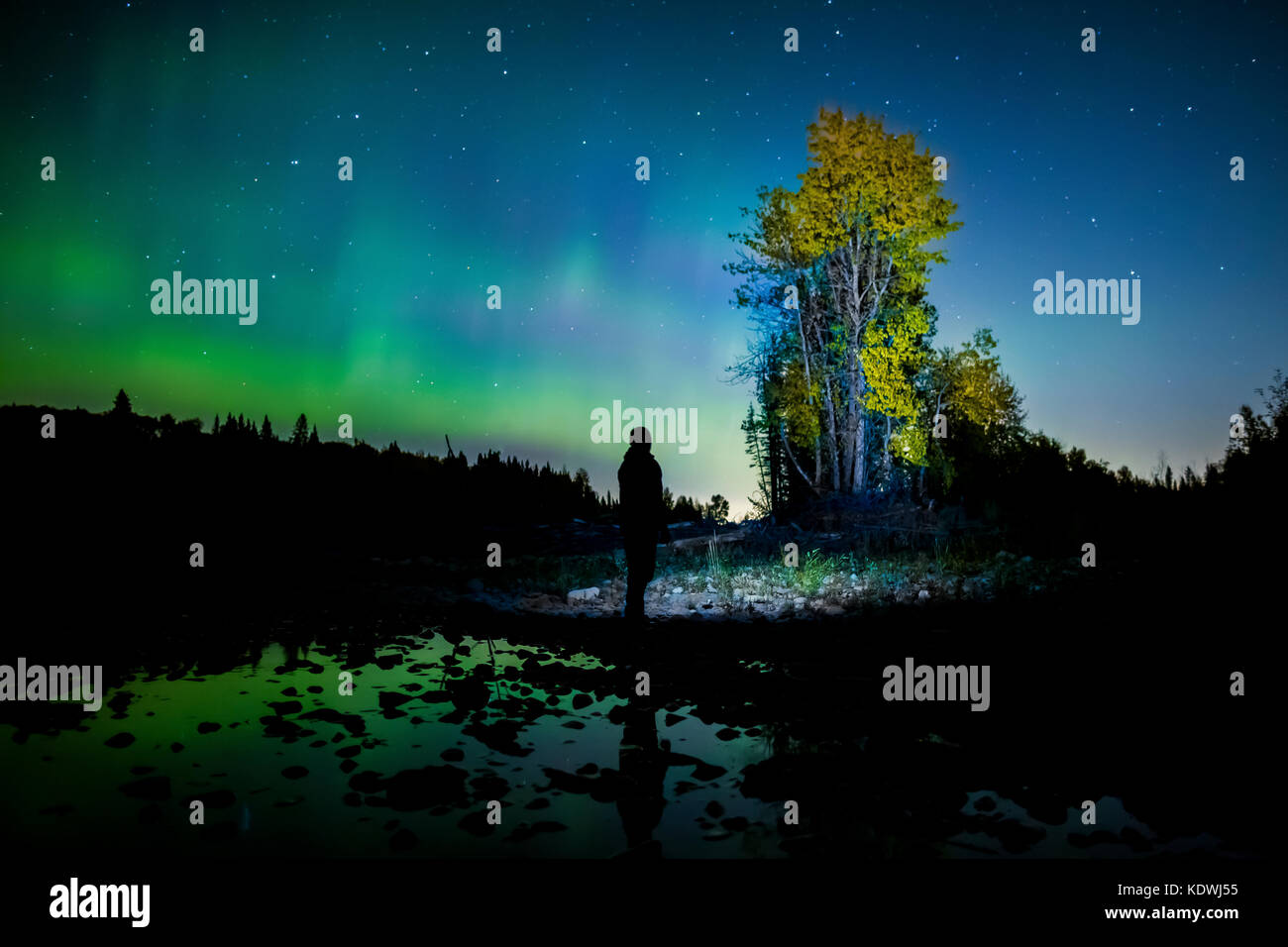 The Northern Lights dance above the Elbow River west of Calgary