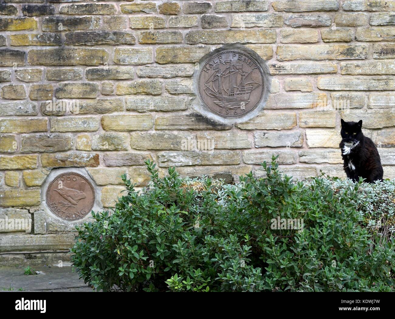 A cat sits  outside a house with a giant farthing and half-penny built into the wall in New Mills, Derbyshire Stock Photo