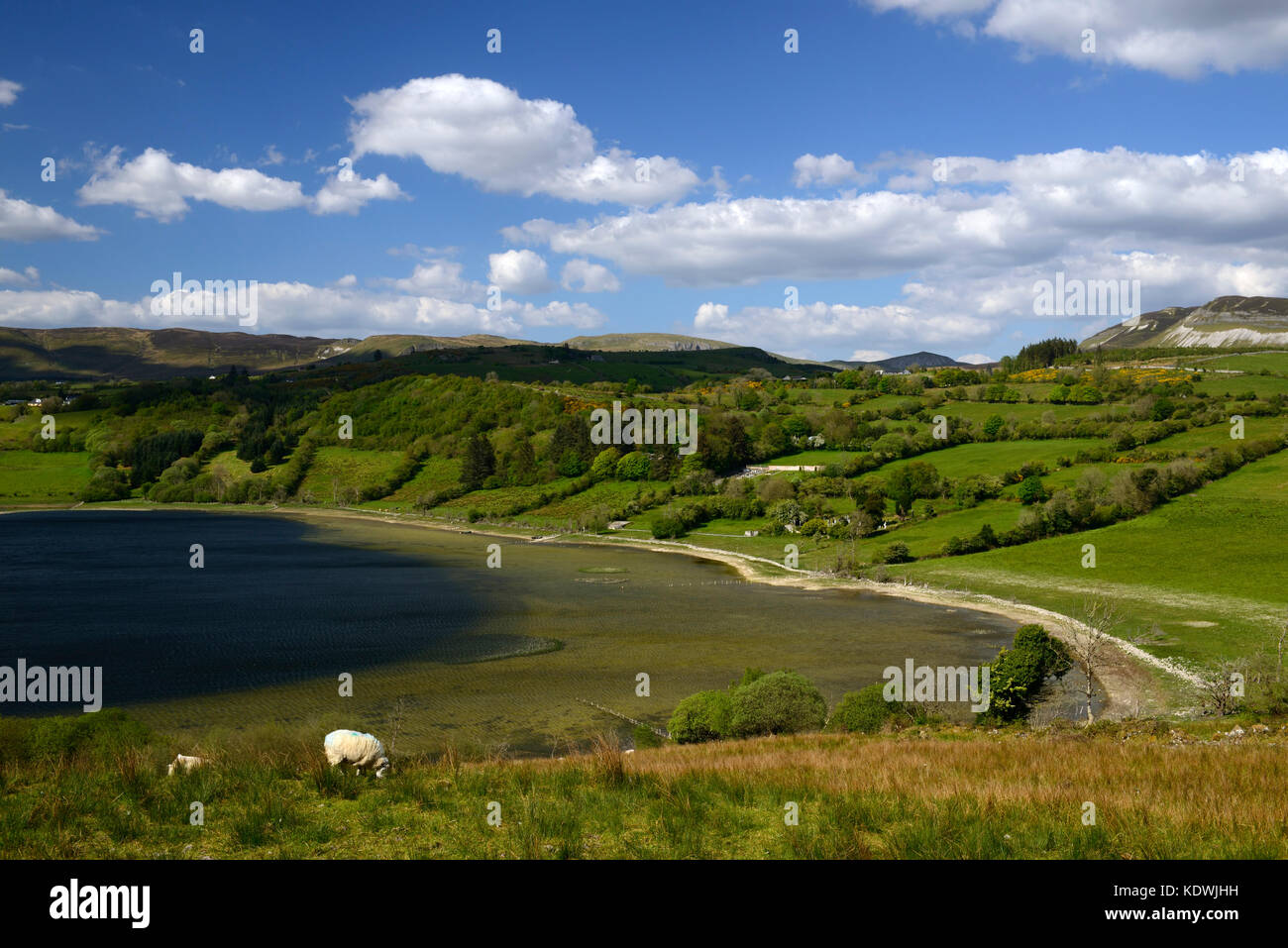 Donegal, Lake, lough, mountains, sheep, scenic, scenery, landscape, Wild Atlantic Way, Ireland, RM Ireland, Stock Photo