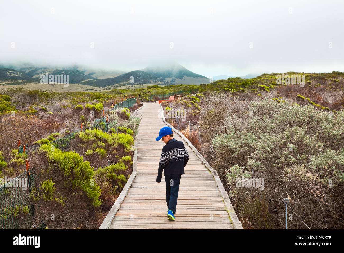 Young boy walking on boardwalk, Elfin Forest, Baywood Park, San Luis Obispos County, California, USA (MR) Stock Photo