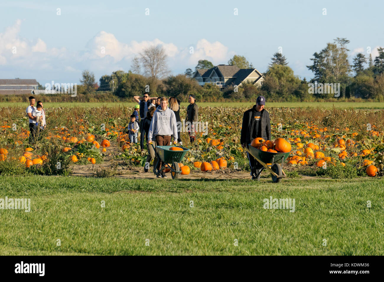 Herb farm hires stock photography and images Alamy