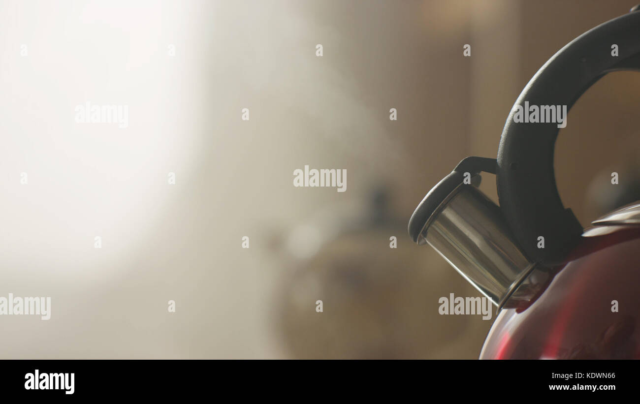 kettle boiling on a gas stove in the kitchen. Focus on a spout. Tea