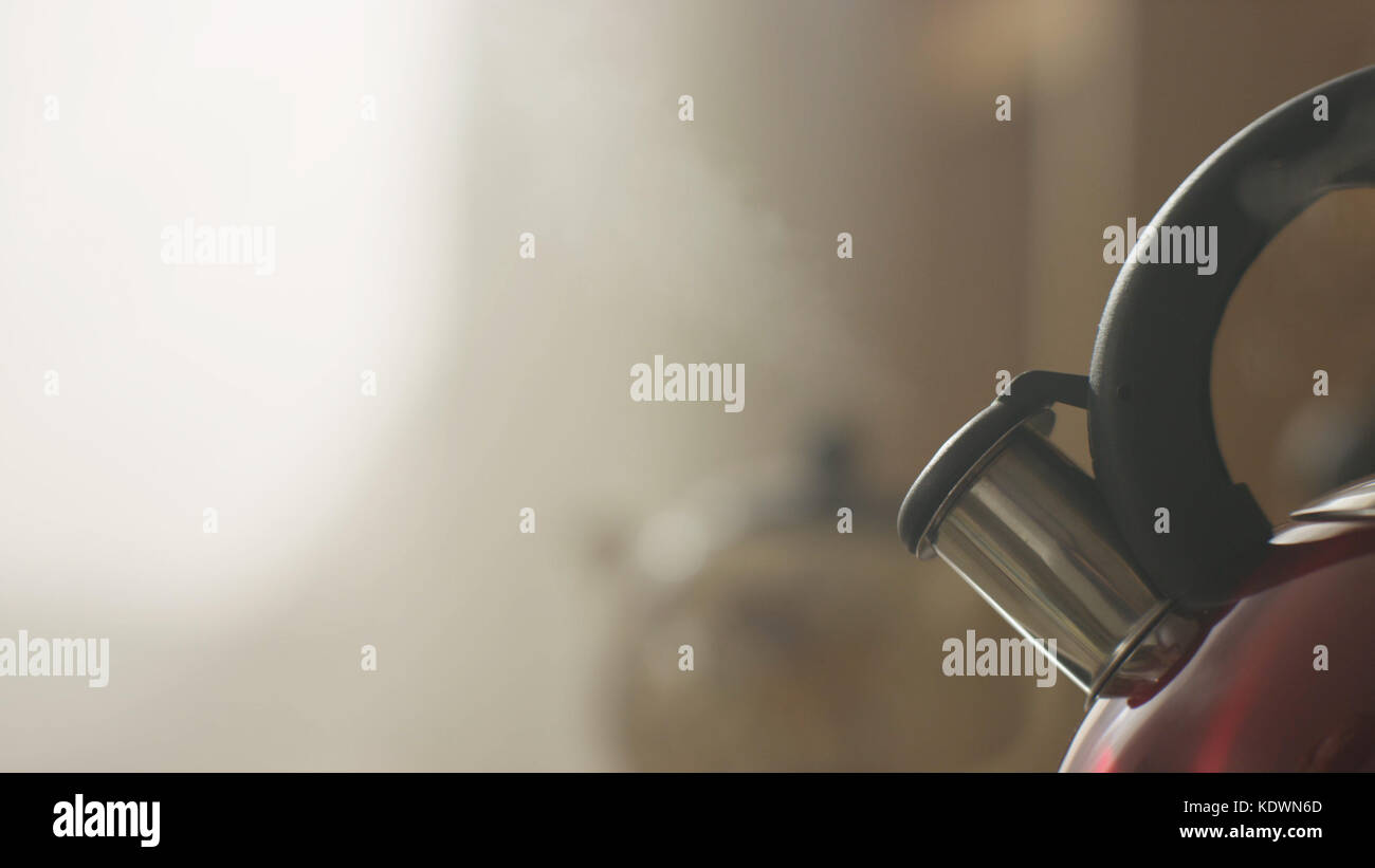 kettle boiling on a gas stove in the kitchen. Focus on a spout. Tea