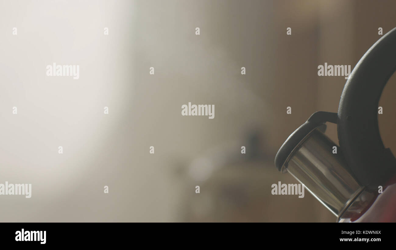 kettle boiling on a gas stove in the kitchen. Focus on a spout. Tea