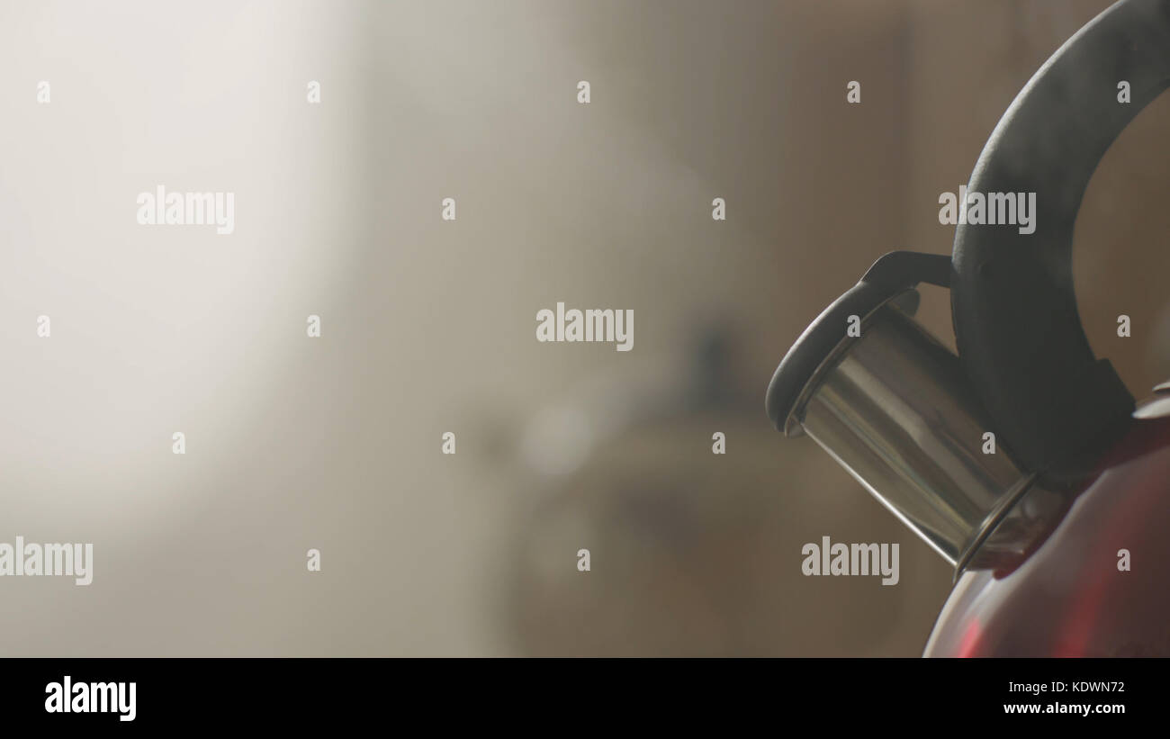 kettle boiling on a gas stove in the kitchen. Focus on a spout. Tea