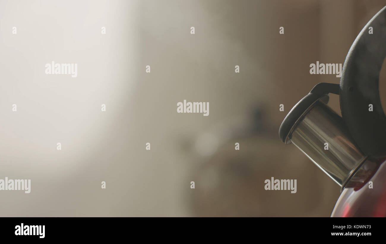 kettle boiling on a gas stove in the kitchen. Focus on a spout. Tea