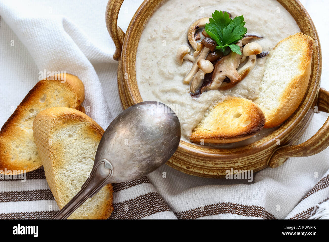 Creamy Homemade Mushroom Soup Stock Photo - Alamy