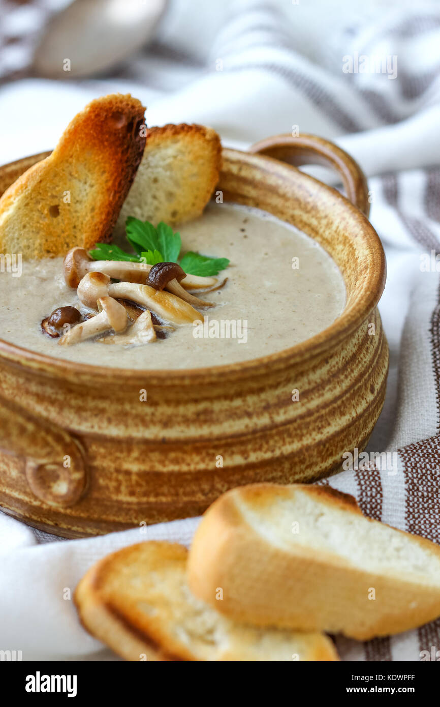 Creamy Homemade Mushroom Soup Stock Photo - Alamy