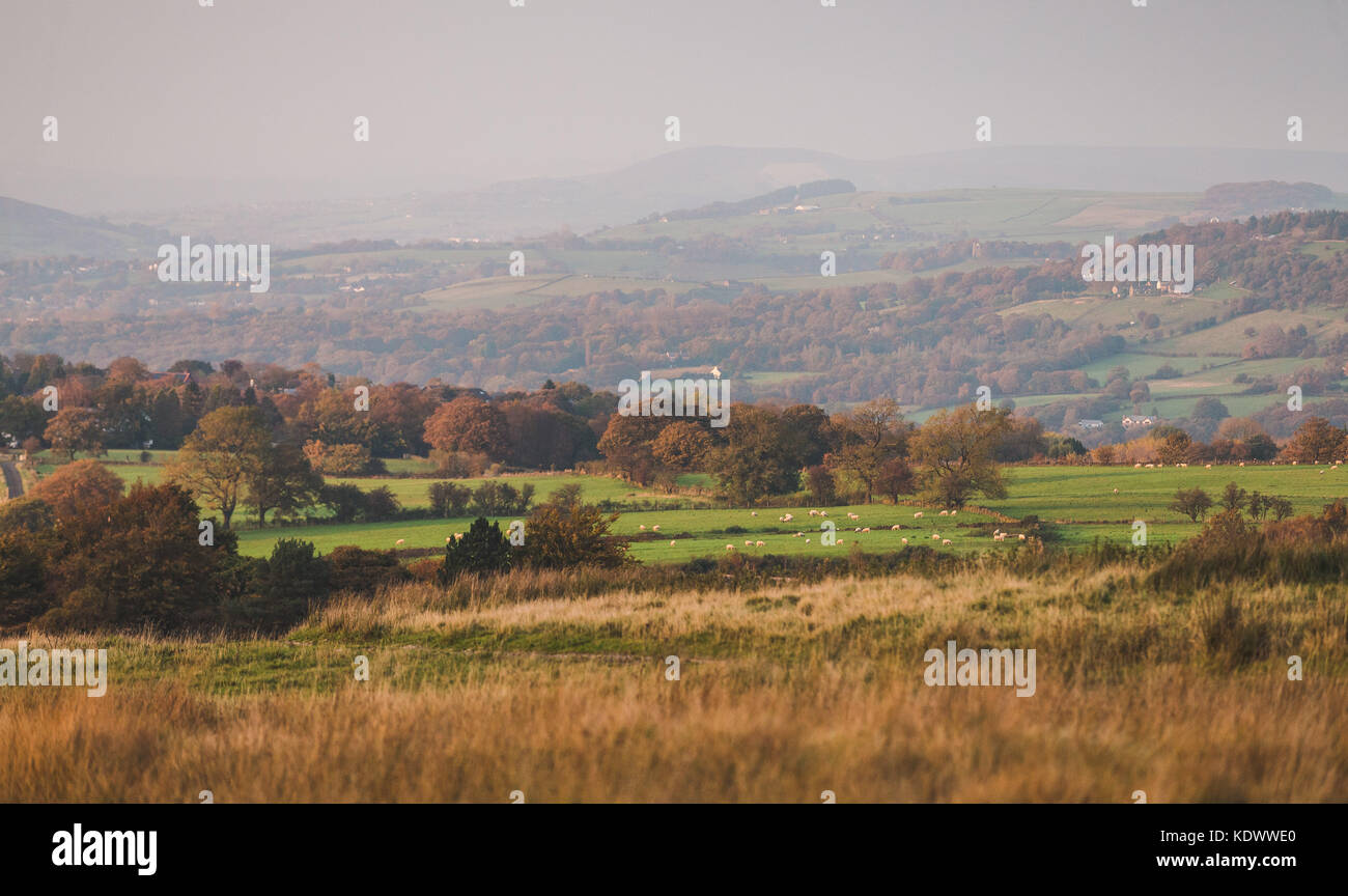 Views over the peak district with autumn trees and rolling hills. Stock Photo