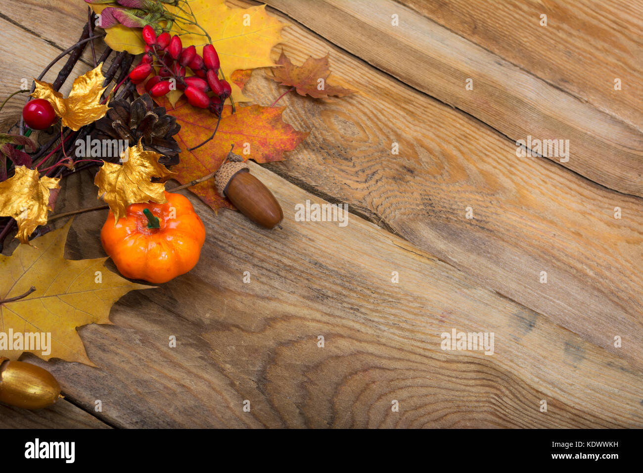 Thanksgiving background with pumpkin, cones and golden maple leaves ...