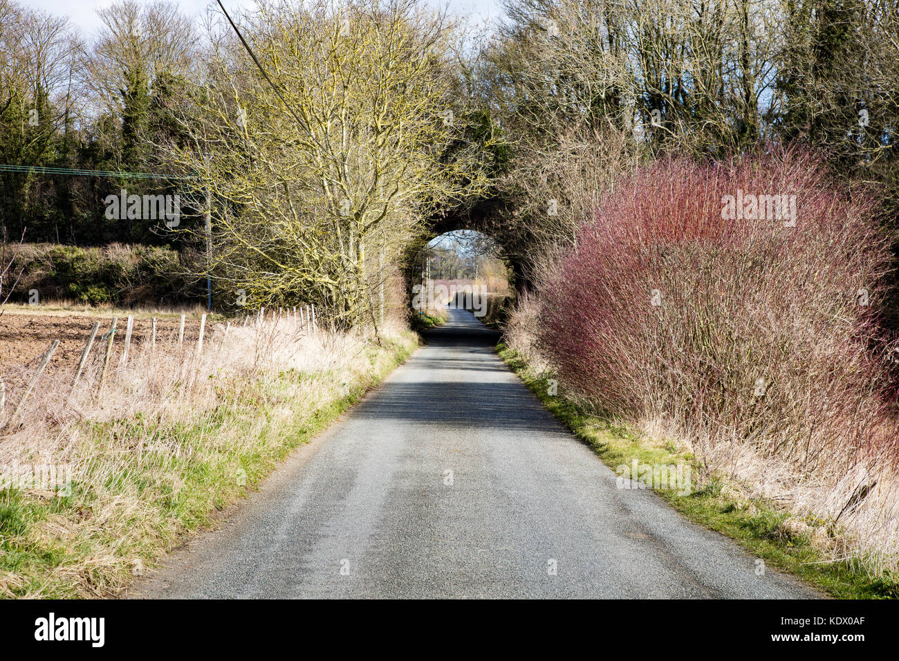 Railway bridge and rural views of Kent near Bekesbourne on Barham Downs