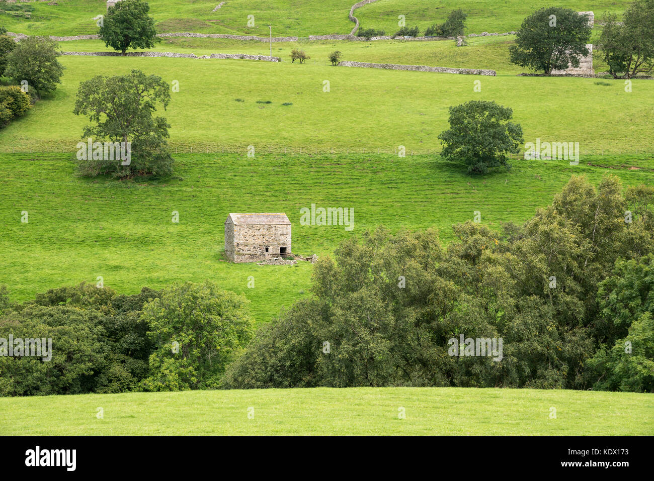 Traditional stone barn or 'Cow House' near Muker in Swaledale, Yorkshire Dales national park, England. Stock Photo