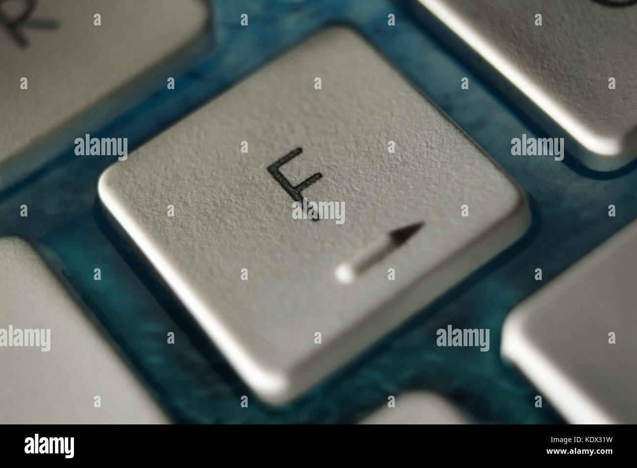 Sea Apple Detail Stock Photos & Sea Apple Detail Stock Images - Alamy