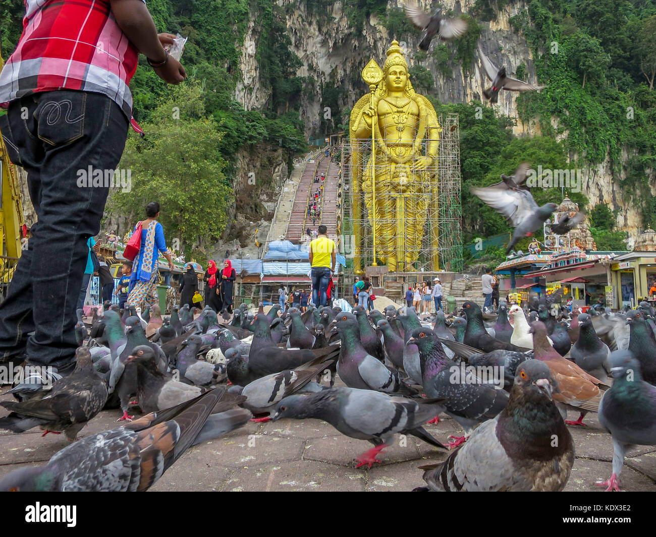 Tourists feed a flock of pigeons in the courtyard before the statue of Murugan and the 272 steps leading to Cathedral Cave at Batu Caves Gombak, Selan Stock Photo