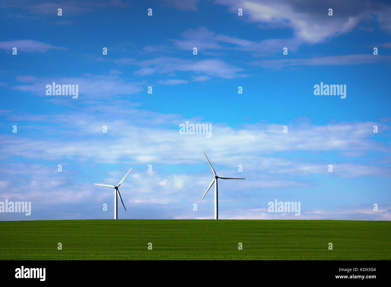 windmills for green electric power, landscape on the field Stock Photo