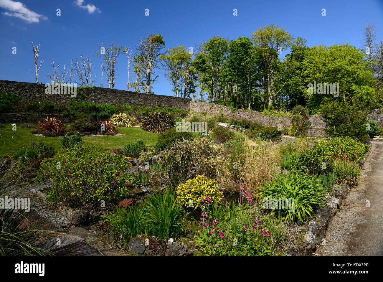 Alpine Gardens, Alpine garden, Walled garden, Lissadell house, neo-classical Greek revivalist style, country house, Wild Atlantic Way, Sligo, Ireland, Stock Photo