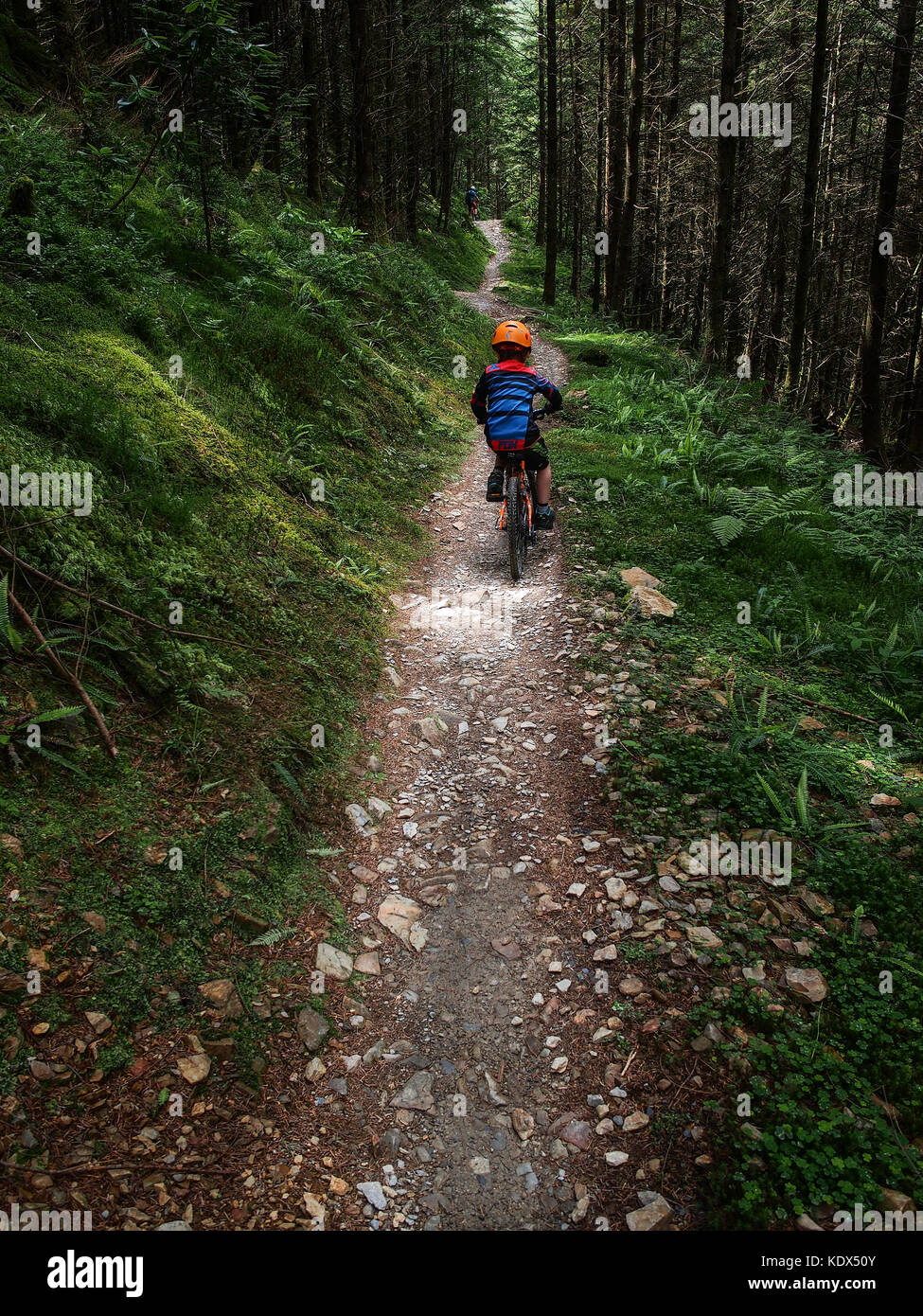 child trail riding in snowdonia coed y brenin Stock Photo