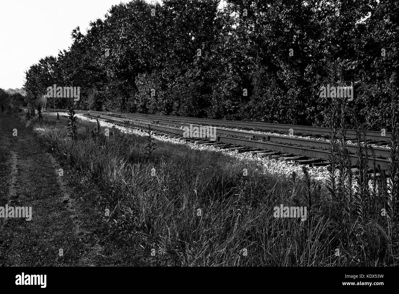 Old railroad in Chesapeake, Virginia Stock Photo