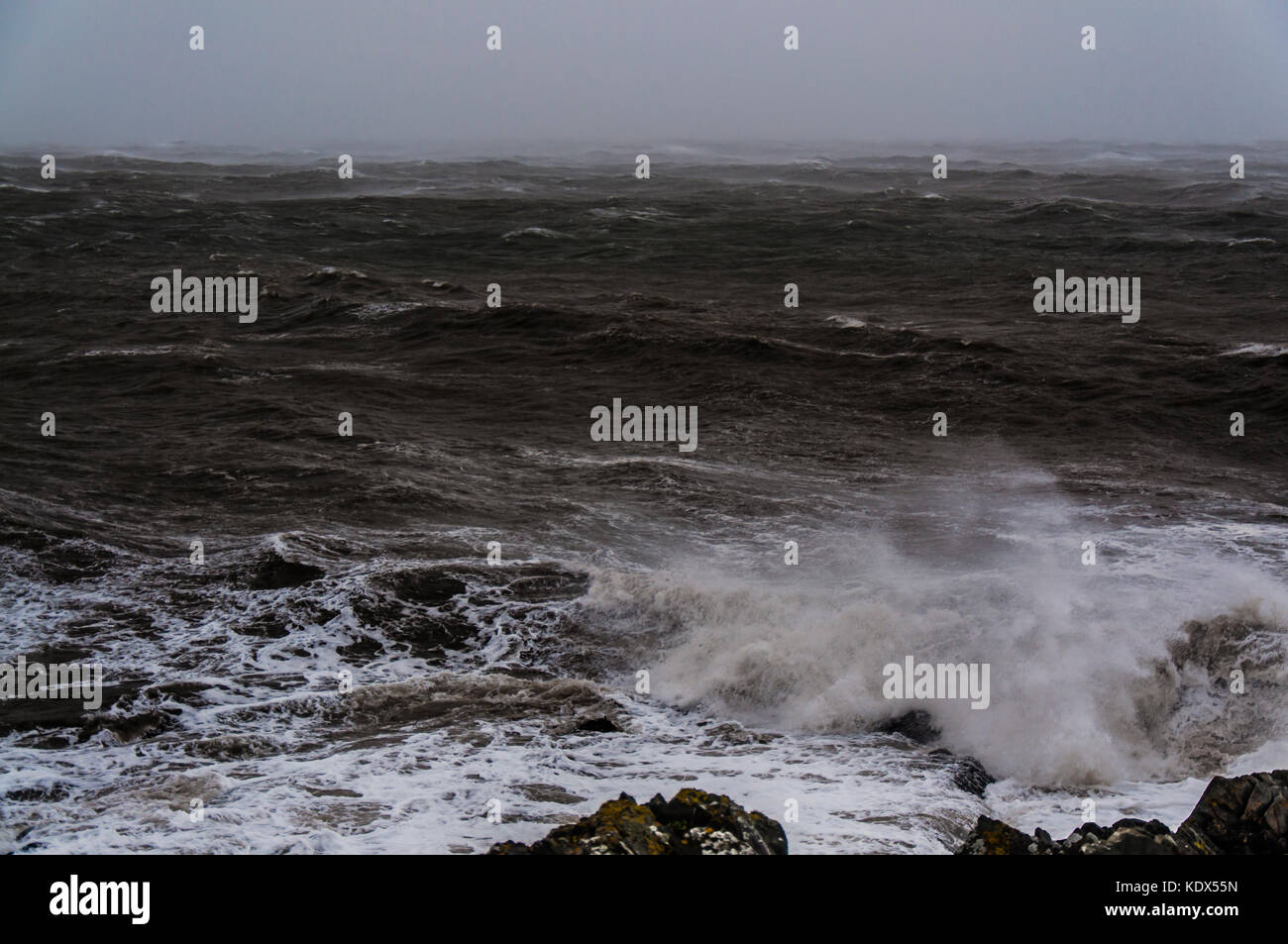 Stormy seas near the town Greystones, east coast of Ireland, Irish Sea. Tail of hurricane Ophelia. Stock Photo