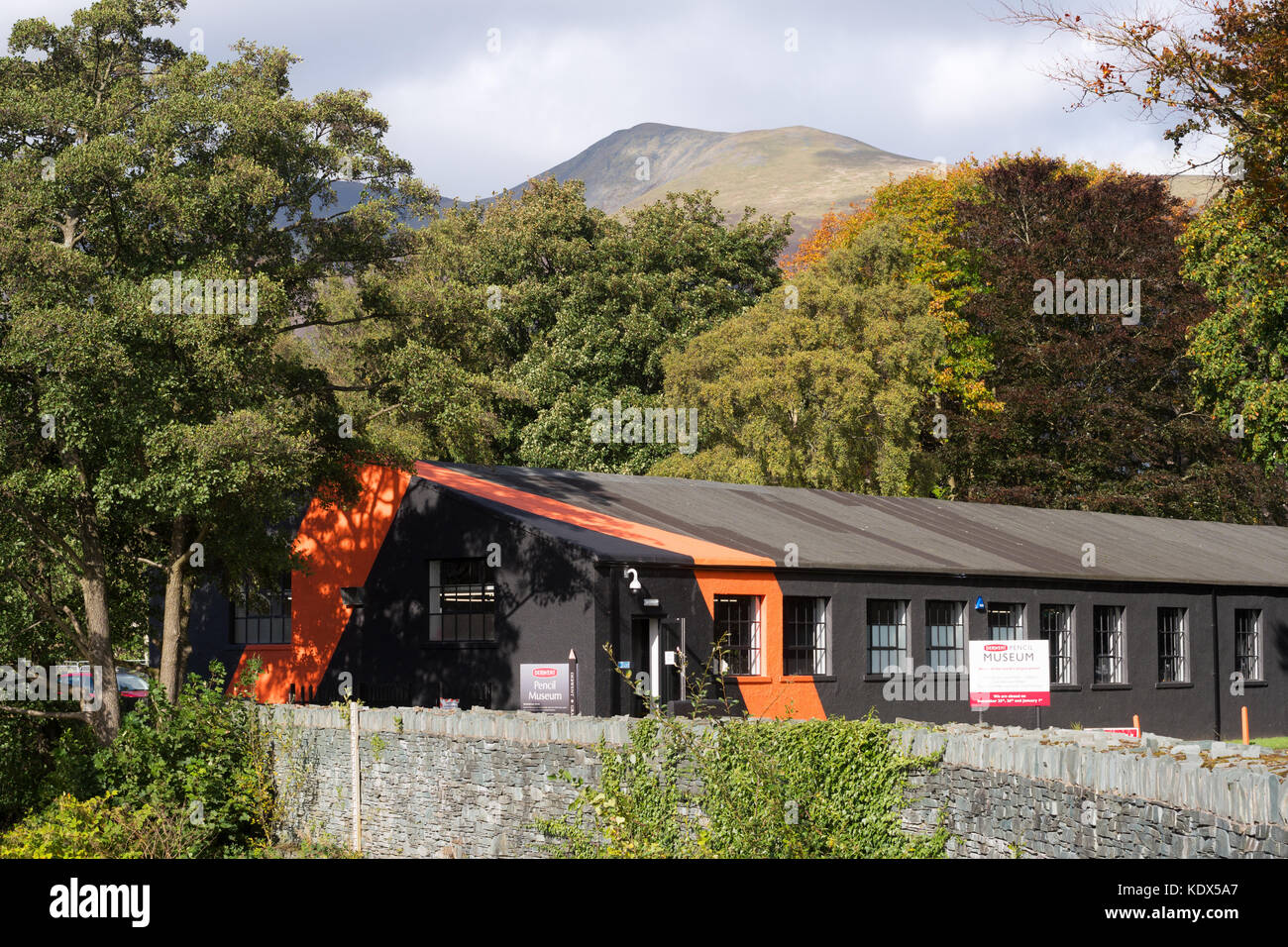 Are Dogs Allowed In The Pencil Museum